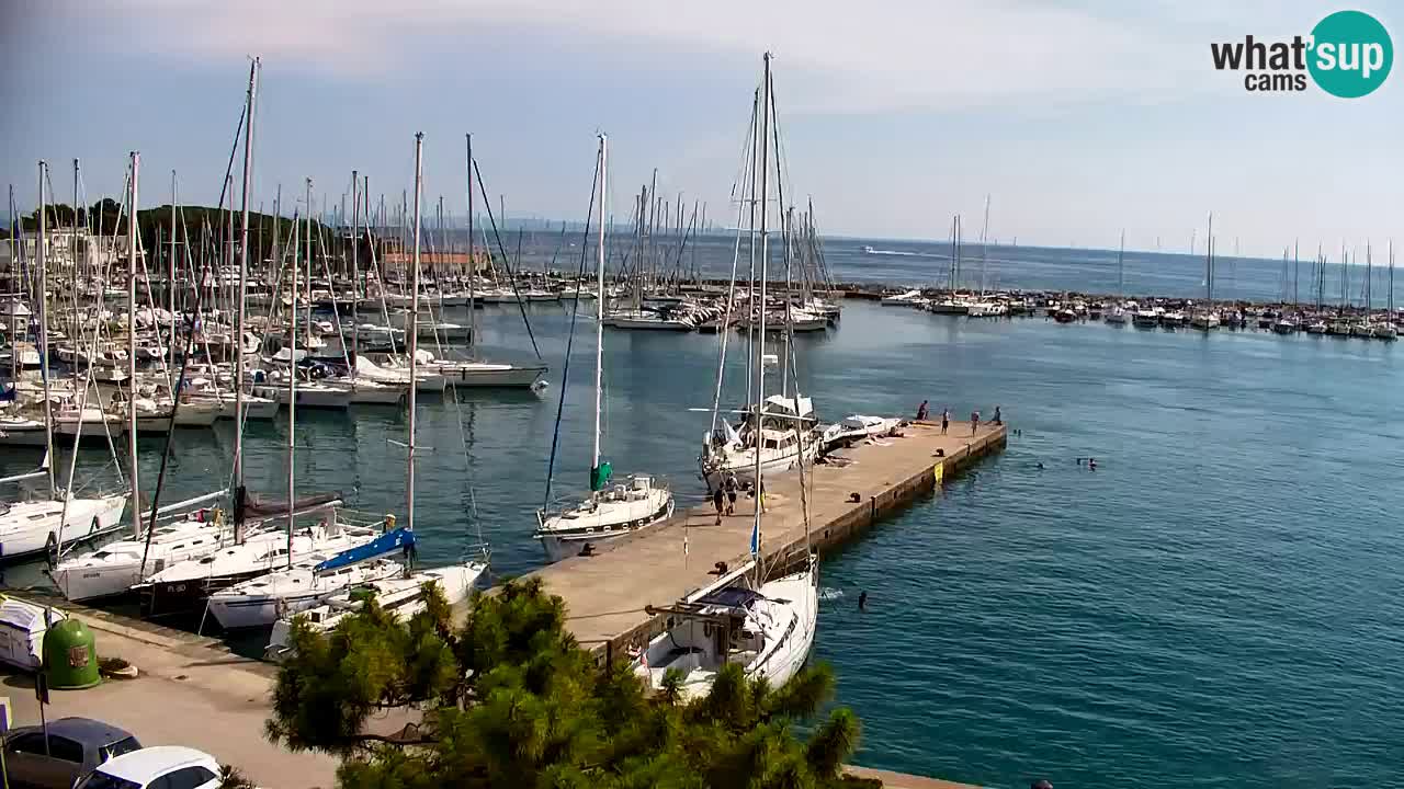Webcam Sistiana Baia – Live View of the Marina and Gulf