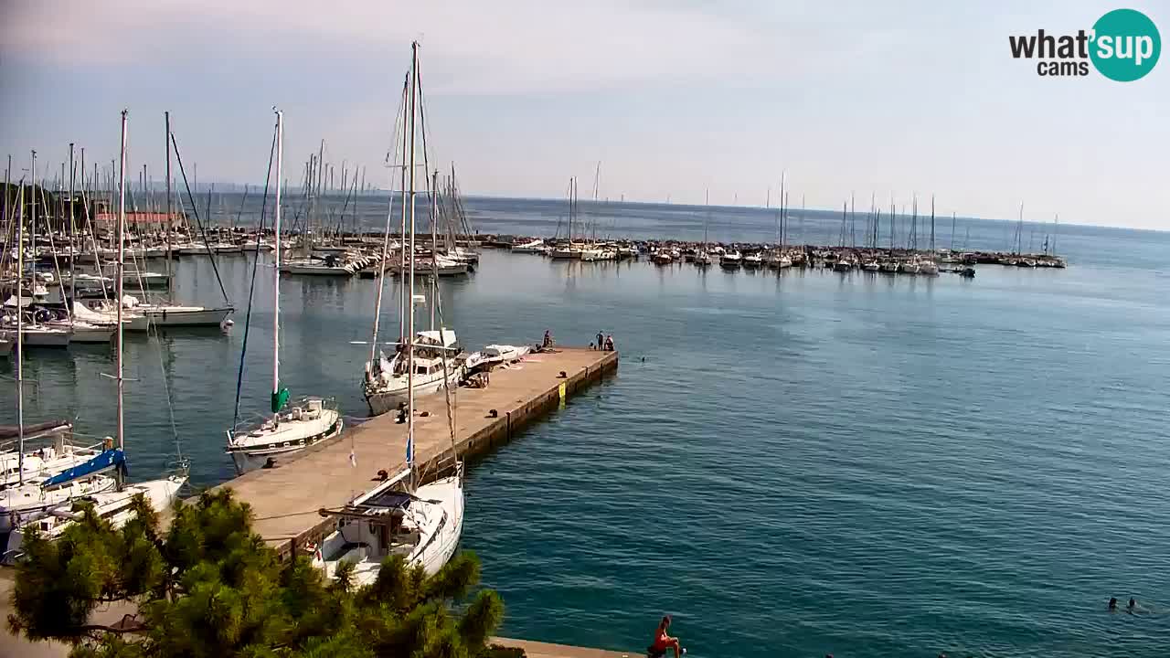 Webcam Sistiana Baia – Live View of the Marina and Gulf