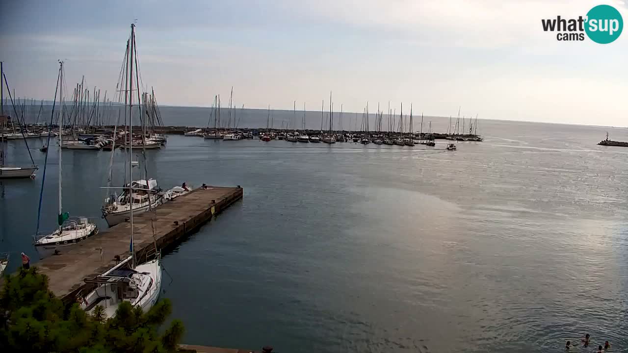 Web kamera Sistiana Uvala – Pogled uživo na marinu i zaljev