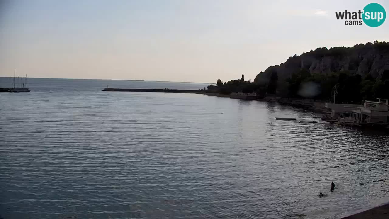 Web kamera Sistiana Uvala – Pogled uživo na marinu i zaljev