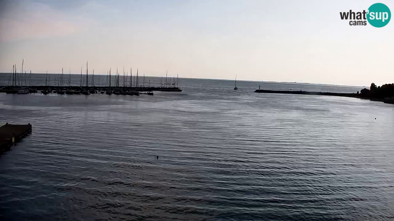 Web kamera Sistiana Uvala – Pogled uživo na marinu i zaljev