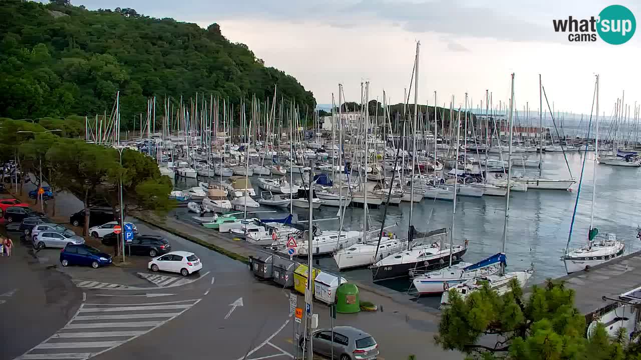 Webcam Sistiana Baia – Live View of the Marina and Gulf