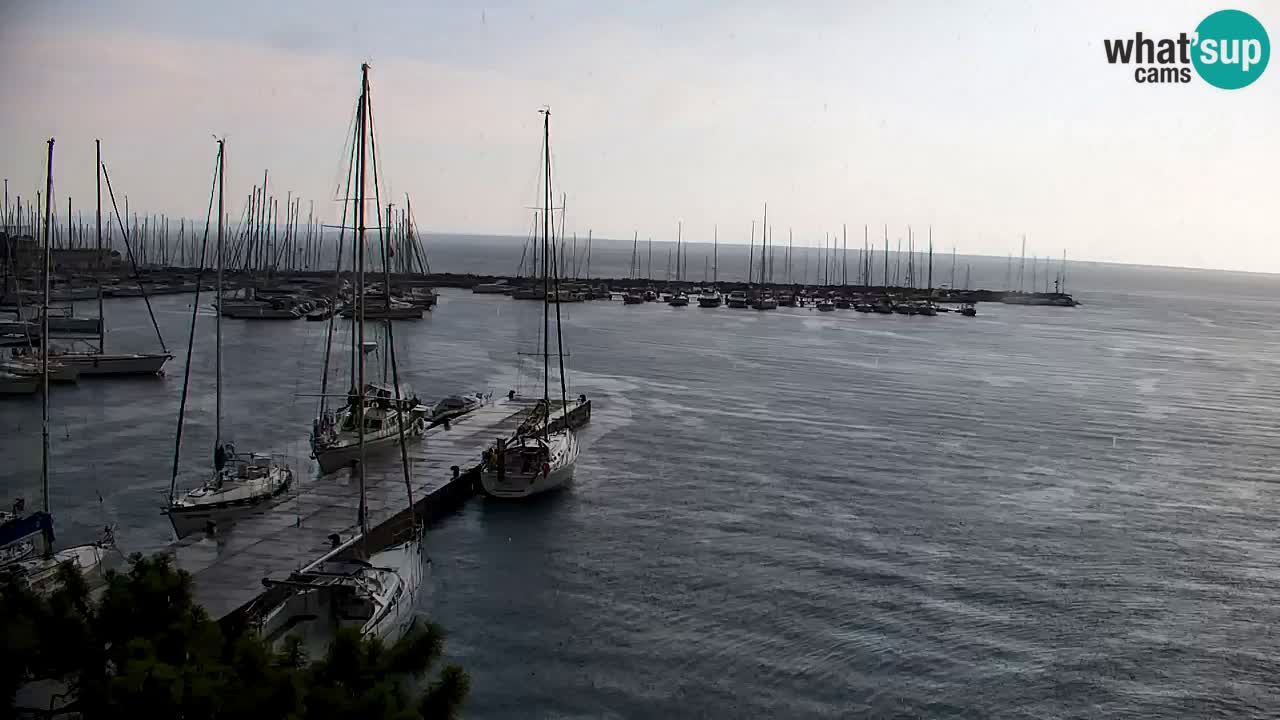 Webcam Bahía de Sistiana – Vista en directo del puerto deportivo y la costa