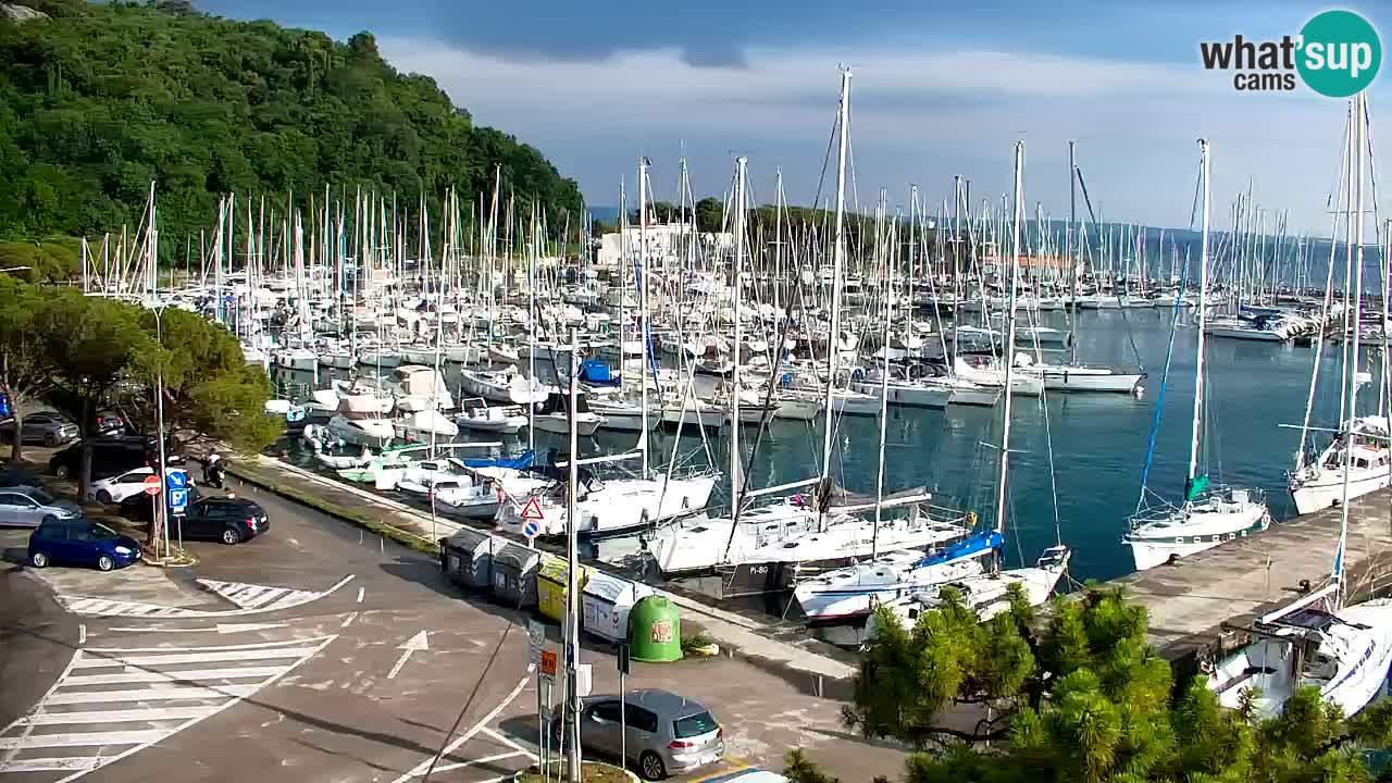 Webcam Bahía de Sistiana – Vista en directo del puerto deportivo y la costa