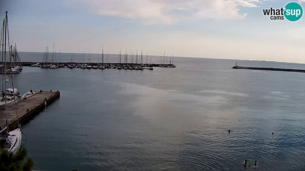 Web kamera Sistiana Uvala – Pogled uživo na marinu i zaljev