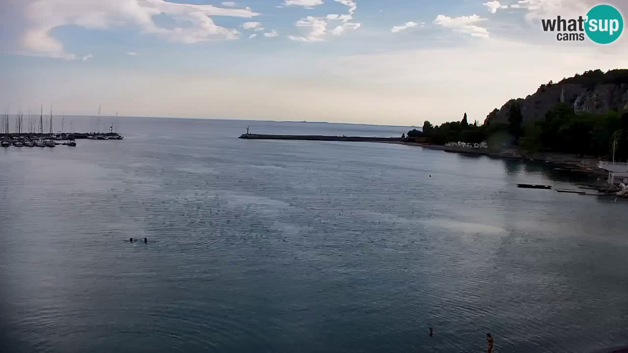 Web kamera Sistiana Uvala – Pogled uživo na marinu i zaljev