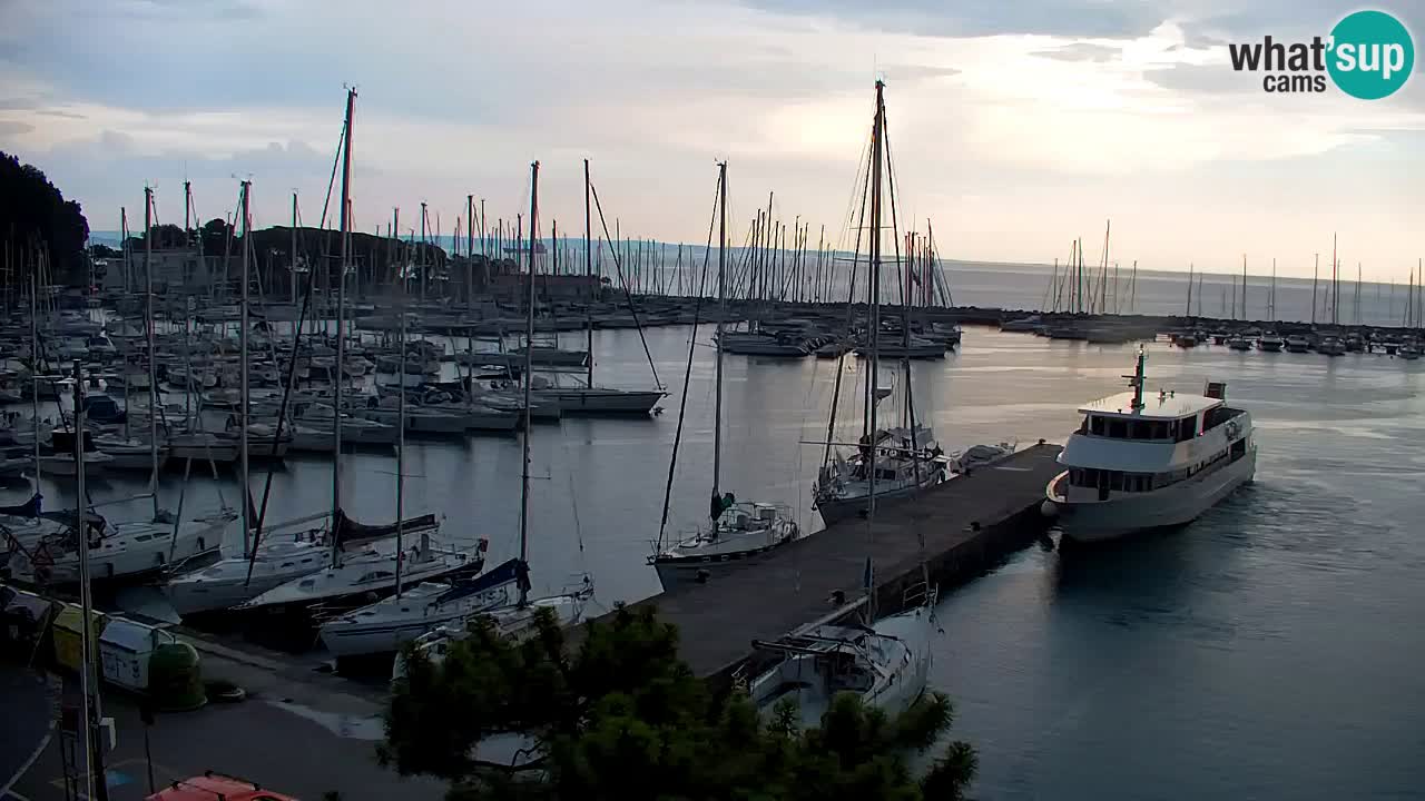 Webcam Sistiana Baia – Live View of the Marina and Gulf