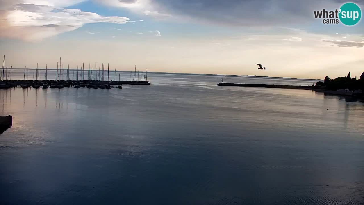 Webcam Baia di Sistiana – Marina e Golfo in diretta