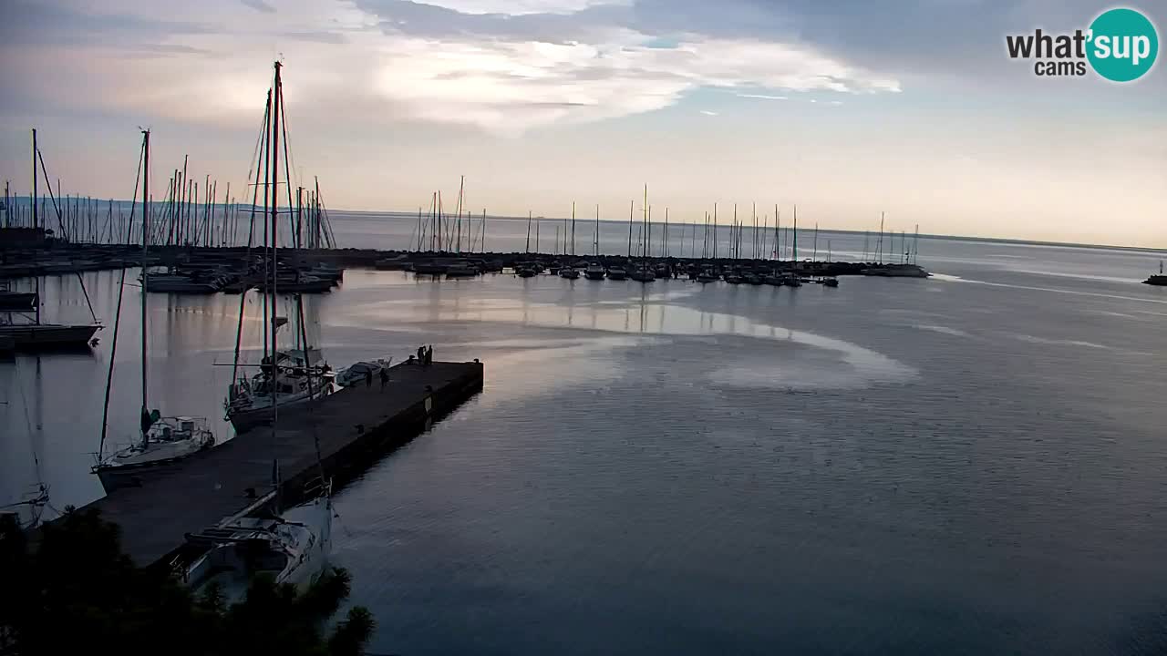 Spletna kamera Sesljanski zaliv – Pogled v živo na marino in zaliv