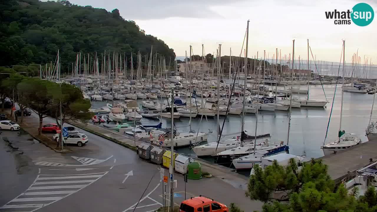 Webcam Sistiana Baia – Live View of the Marina and Gulf