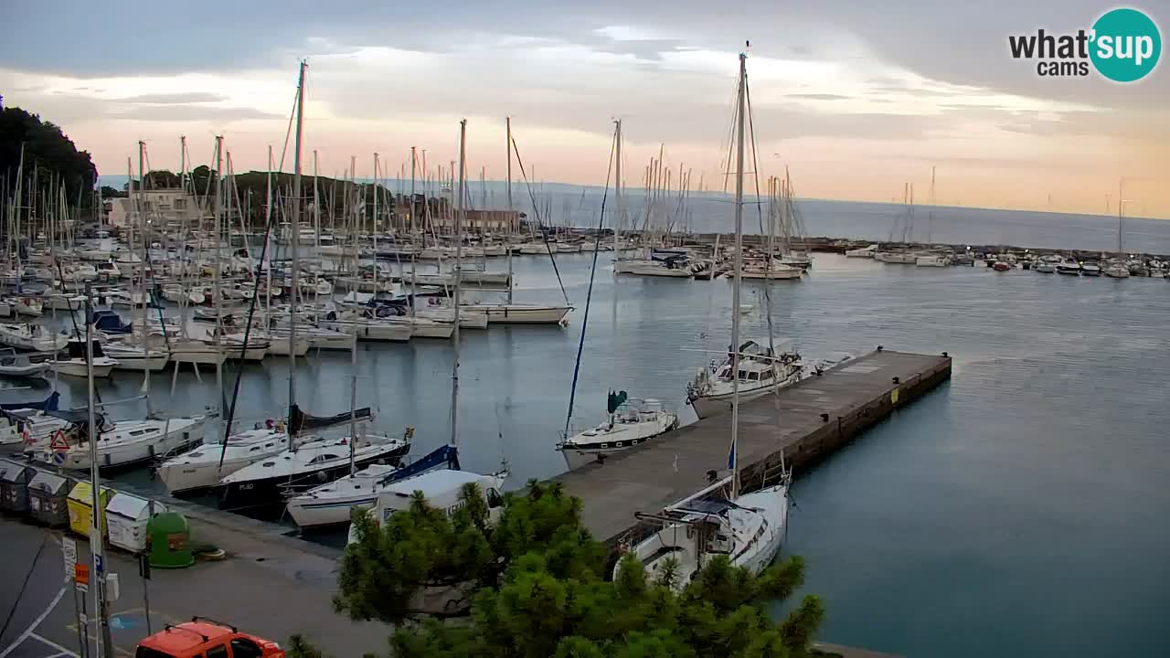 Webcam Sistiana Baia – Live View of the Marina and Gulf