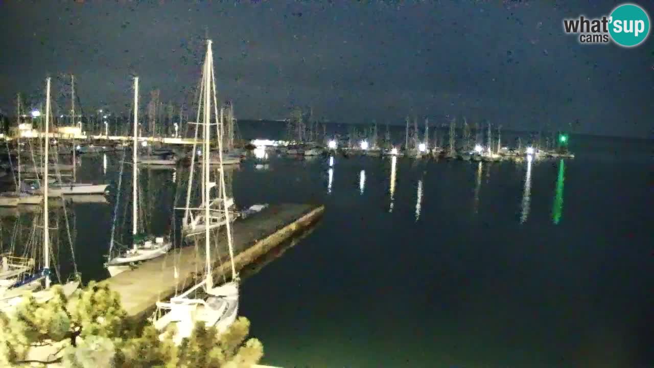 Spletna kamera Sesljanski zaliv – Pogled v živo na marino in zaliv