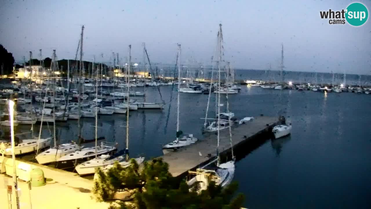 Spletna kamera Sesljanski zaliv – Pogled v živo na marino in zaliv