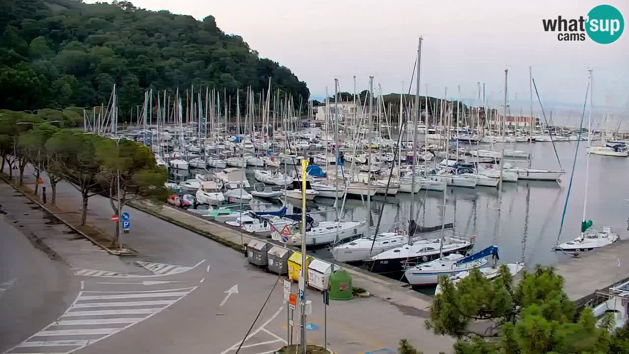 Webcam Bahía de Sistiana – Vista en directo del puerto deportivo y la costa