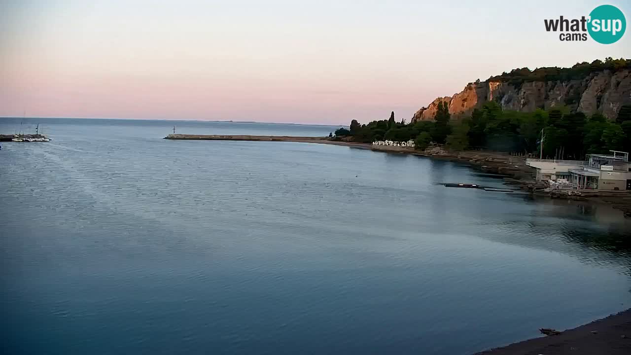 Webcam Bahía de Sistiana – Vista en directo del puerto deportivo y la costa