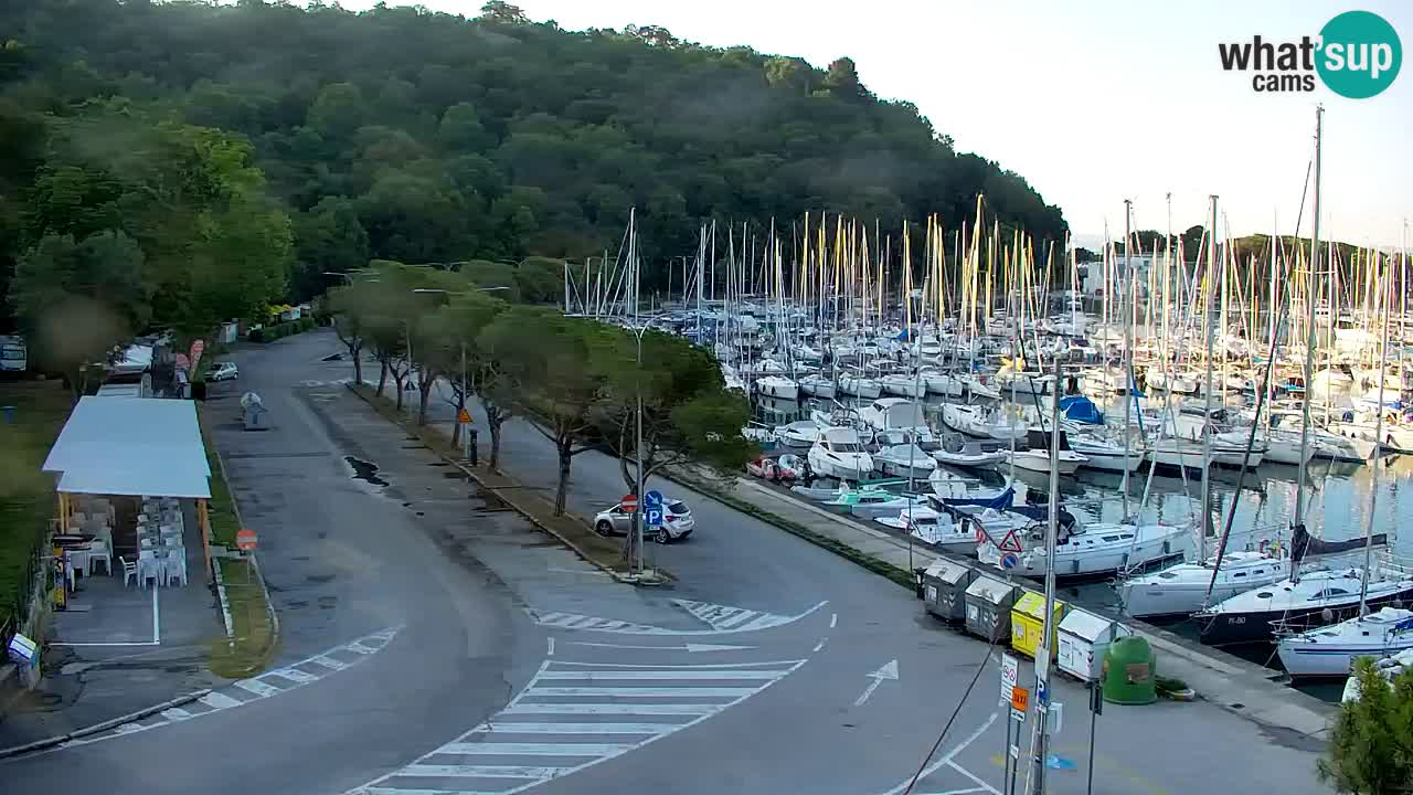 Webcam Sistiana Baia – Live View of the Marina and Gulf