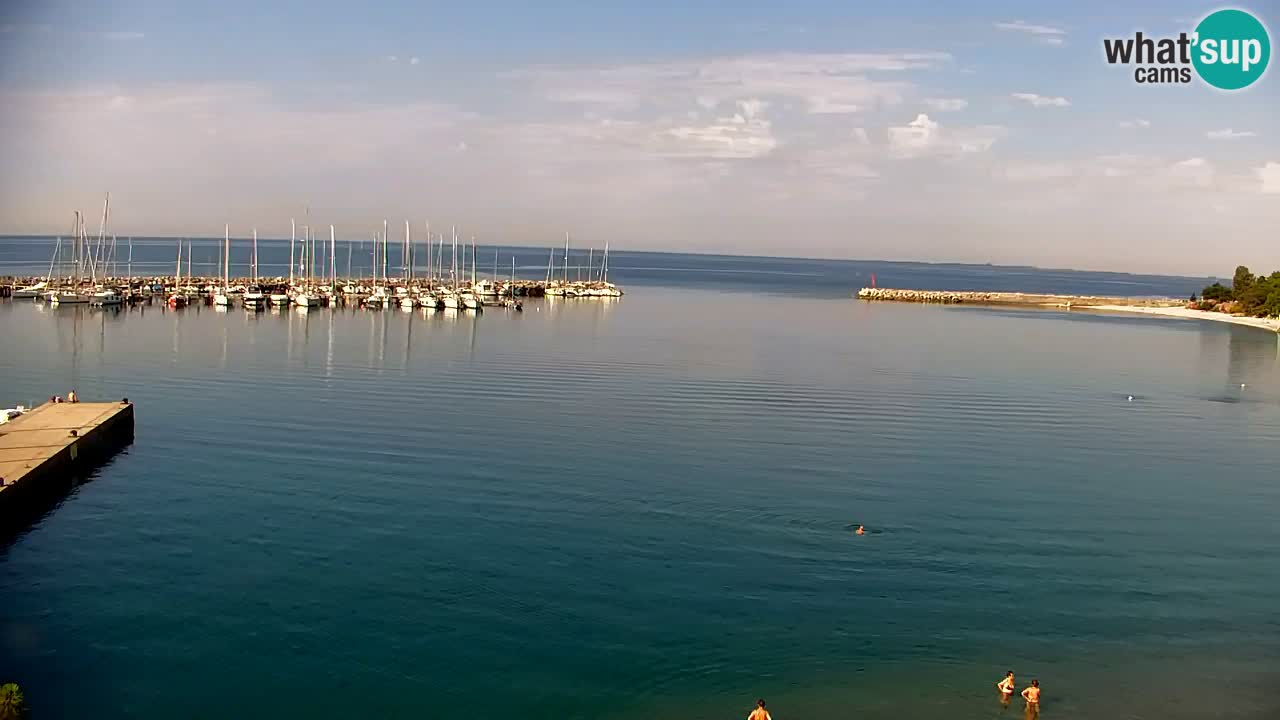 Webcam Sistiana Baia – Live View of the Marina and Gulf