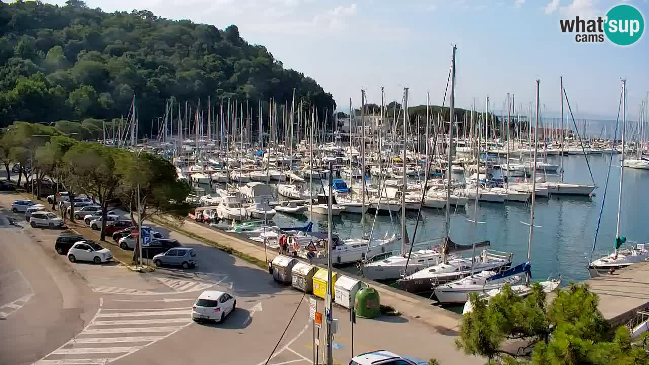Spletna kamera Sesljanski zaliv – Pogled v živo na marino in zaliv