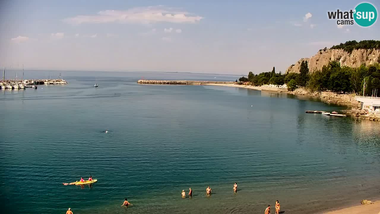 Webcam Sistiana Baia – Live View of the Marina and Gulf