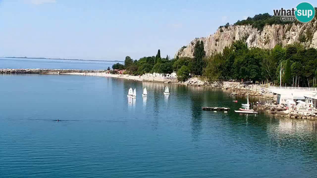 Webcam Bahía de Sistiana – Vista en directo del puerto deportivo y la costa