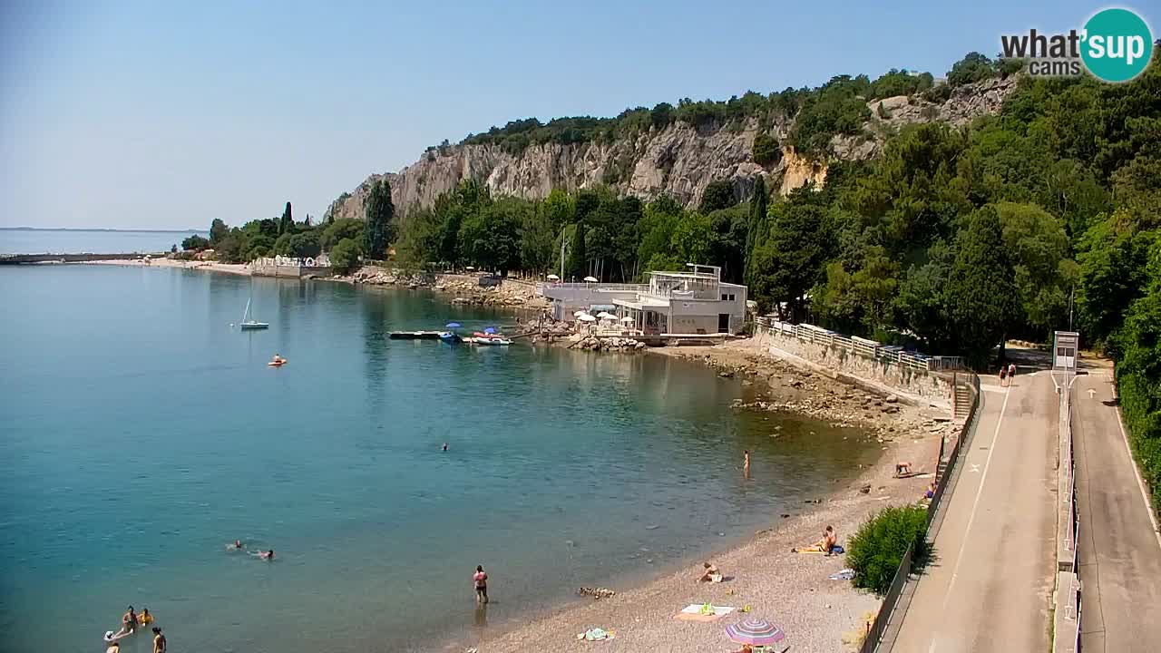 Webcam Bahía de Sistiana – Vista en directo del puerto deportivo y la costa