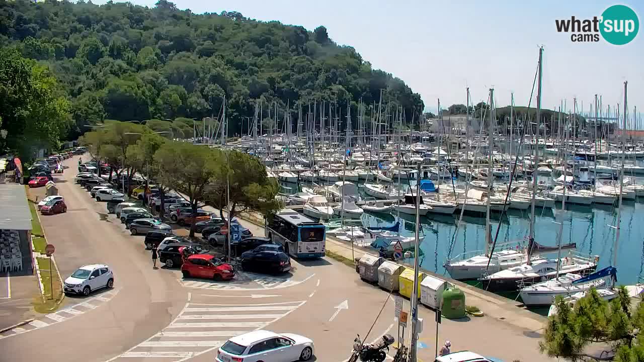 Webcam Sistiana Baia – Live View of the Marina and Gulf