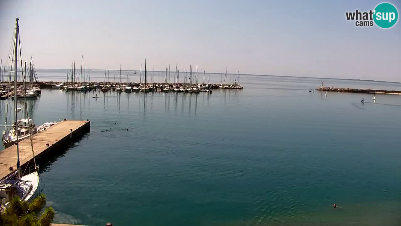 Spletna kamera Sesljanski zaliv – Pogled v živo na marino in zaliv