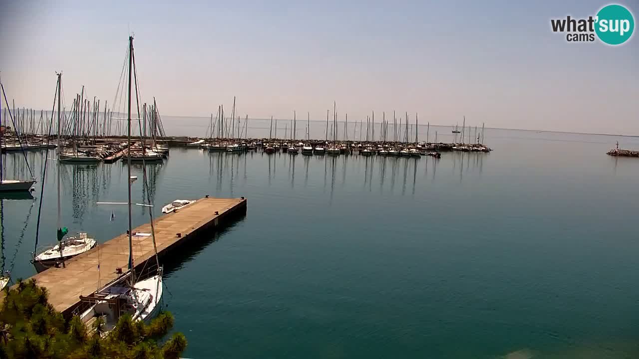 Webcam Bahía de Sistiana – Vista en directo del puerto deportivo y la costa