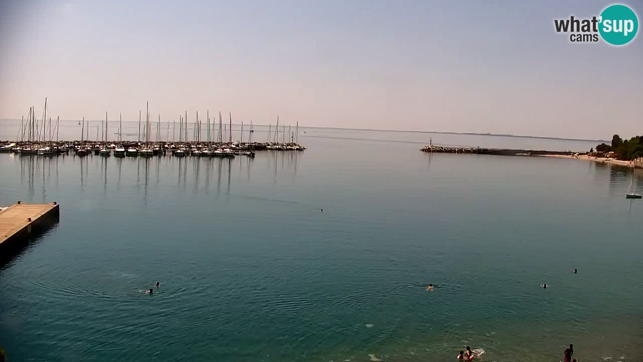 Web kamera Sistiana Uvala – Pogled uživo na marinu i zaljev