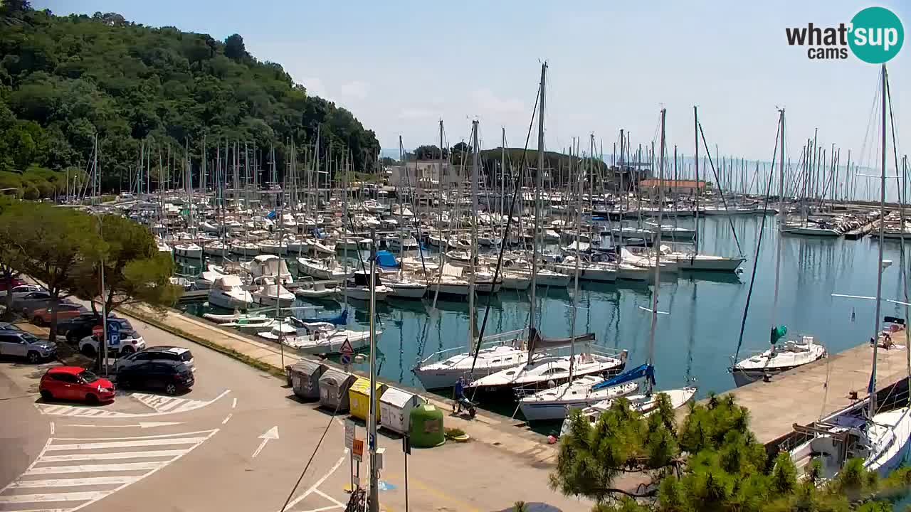 Webcam Bahía de Sistiana – Vista en directo del puerto deportivo y la costa