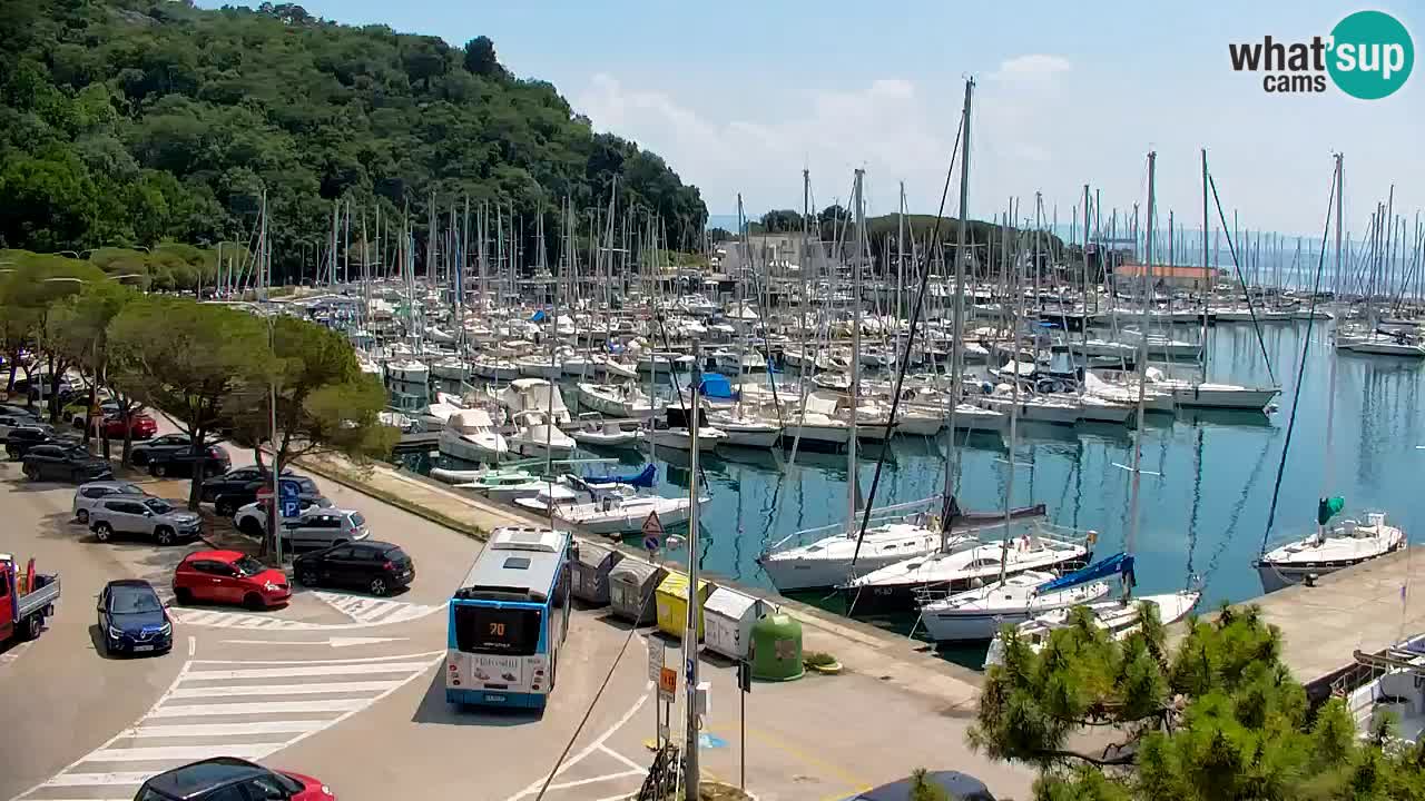 Webcam Sistiana Baia – Live View of the Marina and Gulf