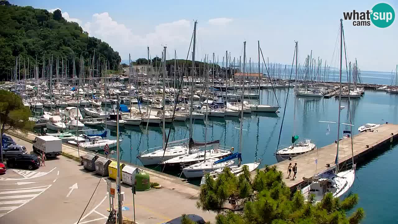 Webcam Sistiana Baia – Live View of the Marina and Gulf