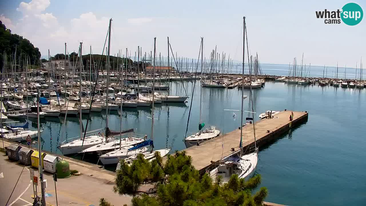 Webcam Bahía de Sistiana – Vista en directo del puerto deportivo y la costa