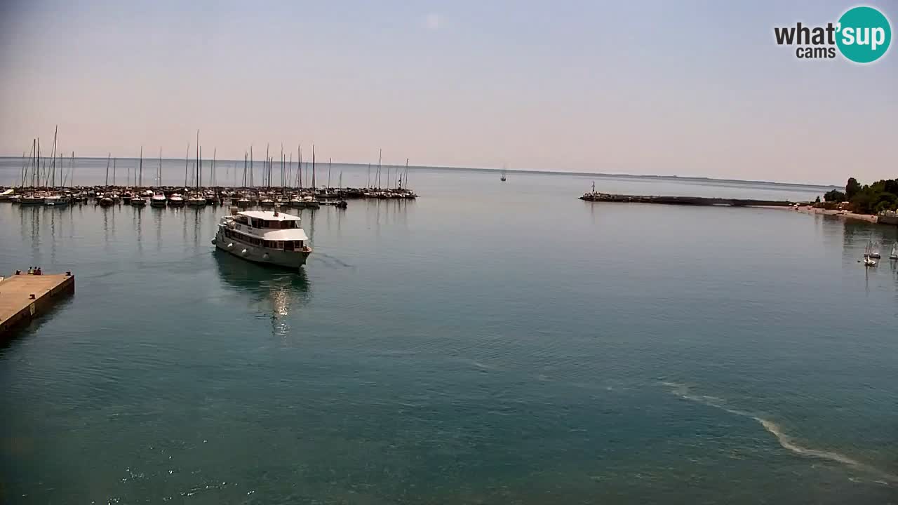 Webcam Bahía de Sistiana – Vista en directo del puerto deportivo y la costa