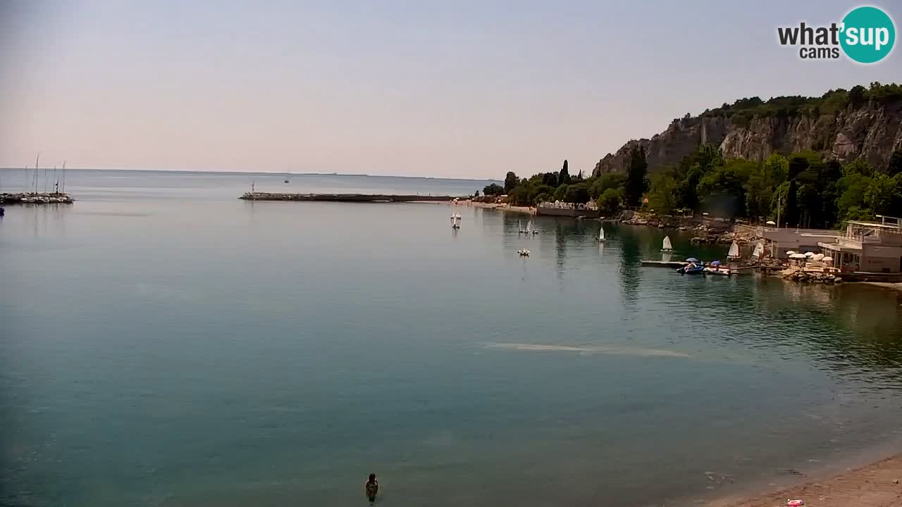 Webcam Sistiana Baia – Live View of the Marina and Gulf
