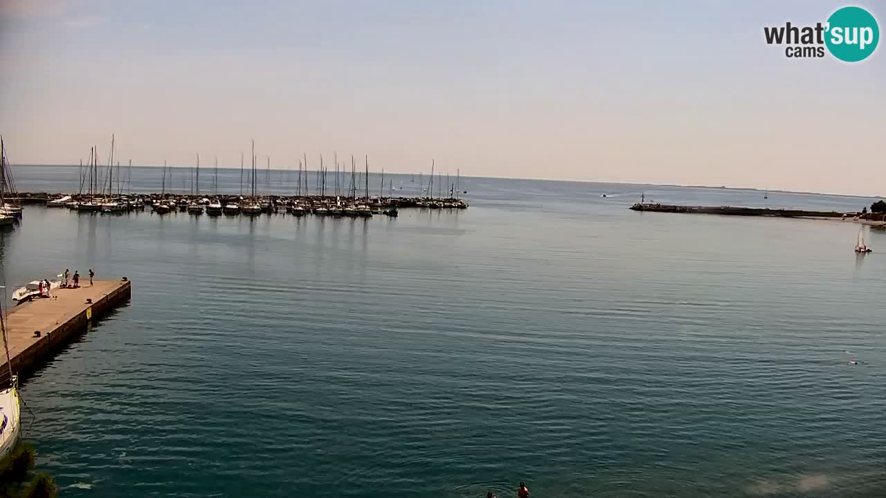 Webcam Bahía de Sistiana – Vista en directo del puerto deportivo y la costa