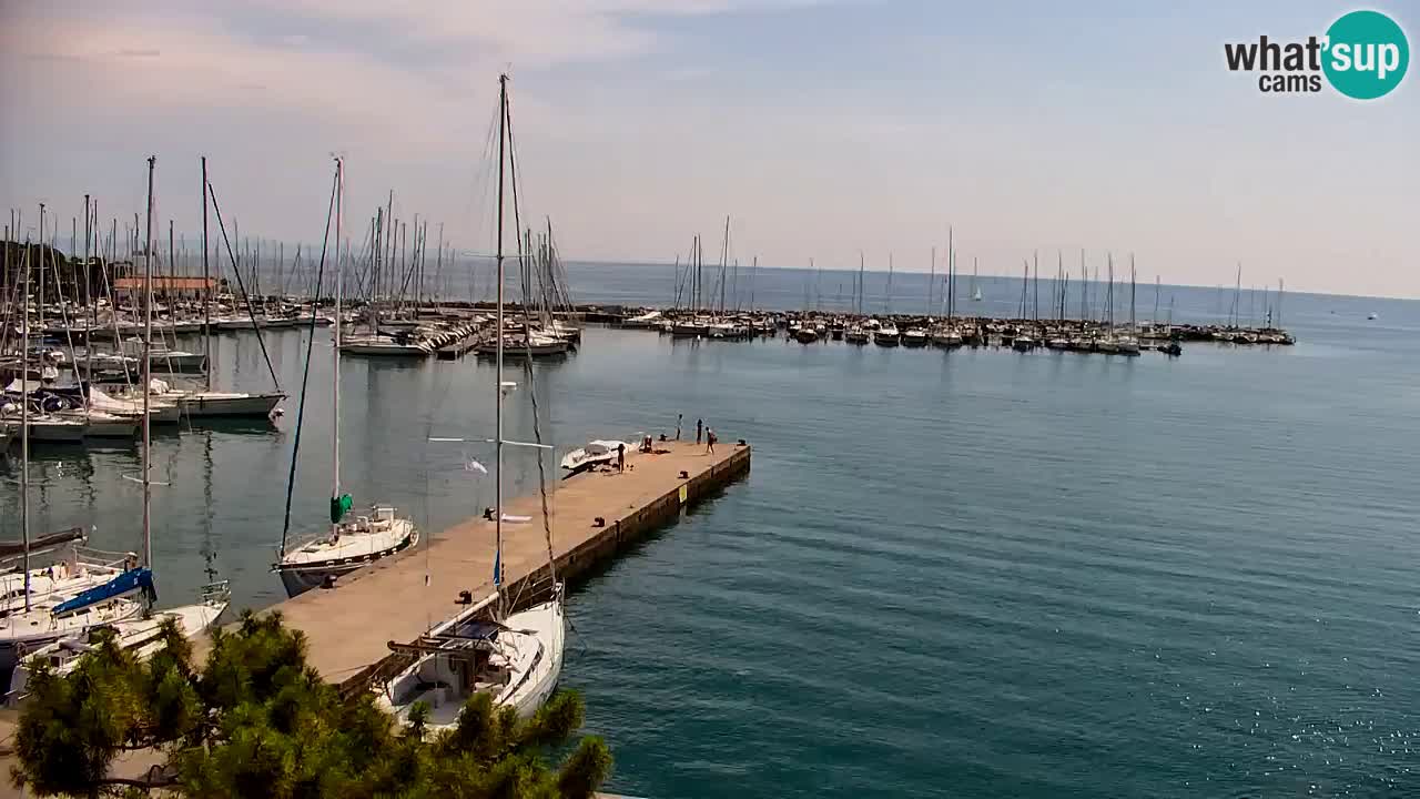 Spletna kamera Sesljanski zaliv – Pogled v živo na marino in zaliv