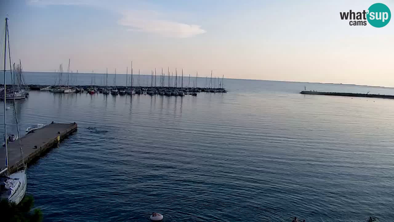 Webcam Bahía de Sistiana – Vista en directo del puerto deportivo y la costa