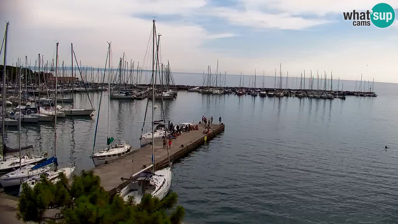 Webcam Bahía de Sistiana – Vista en directo del puerto deportivo y la costa