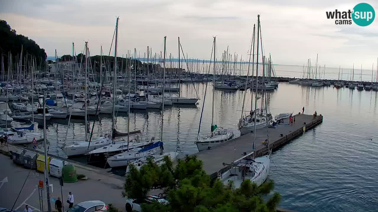 Webcam Sistiana Baia – Live View of the Marina and Gulf