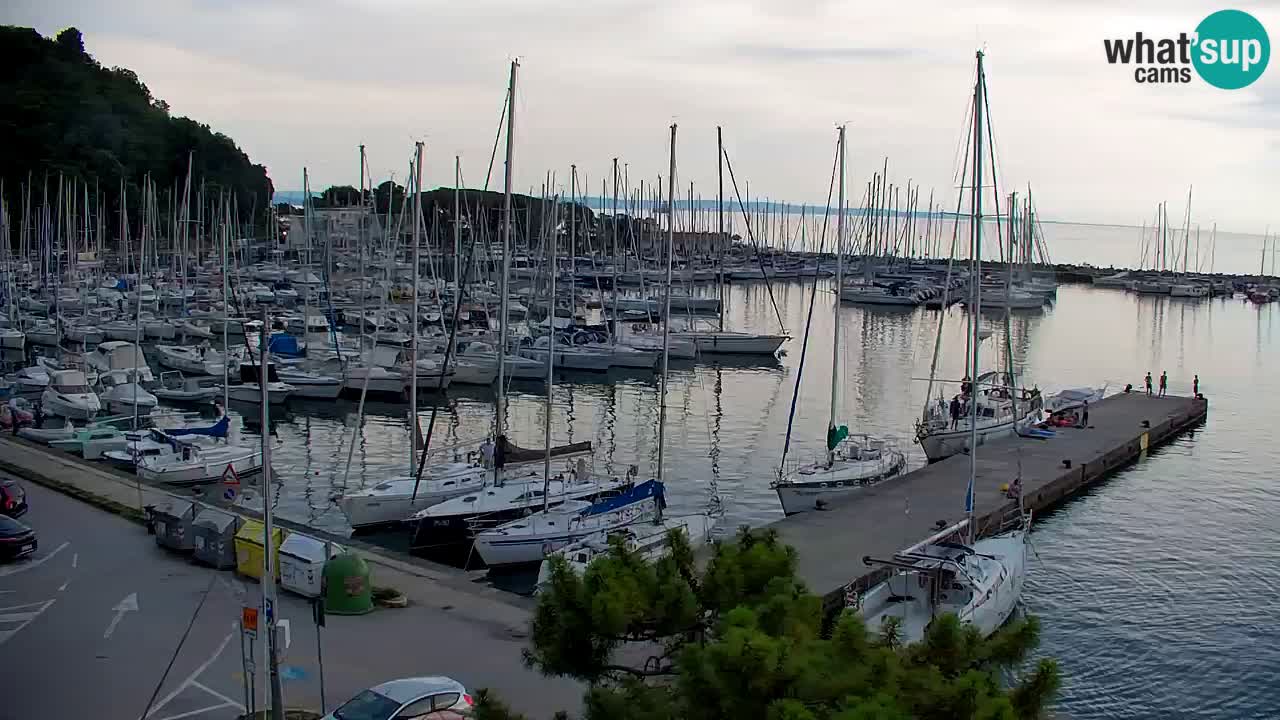 Webcam Bahía de Sistiana – Vista en directo del puerto deportivo y la costa