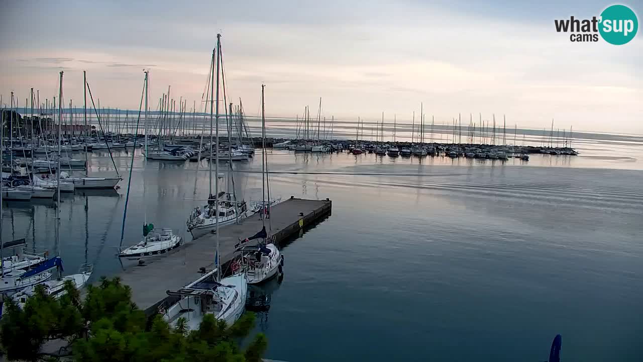 Webcam Sistiana Baia – Live View of the Marina and Gulf