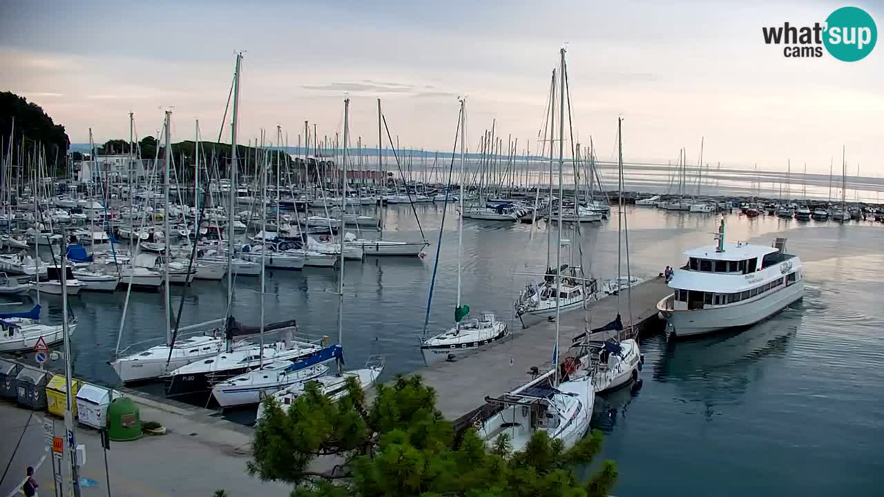 Webcam Bahía de Sistiana – Vista en directo del puerto deportivo y la costa