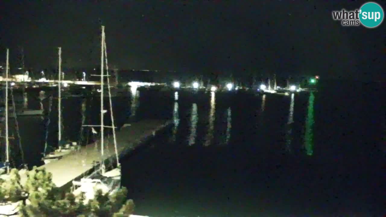 Webcam Sistiana Baia – Live View of the Marina and Gulf