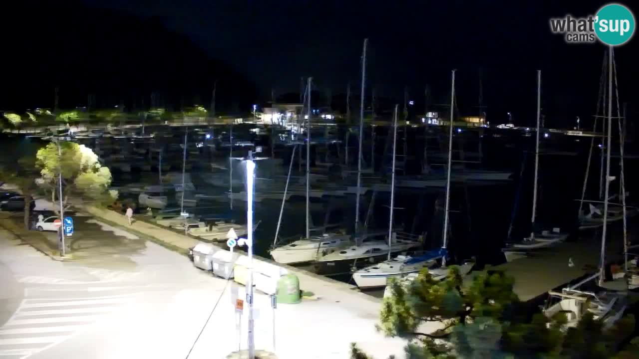 Webcam Bahía de Sistiana – Vista en directo del puerto deportivo y la costa