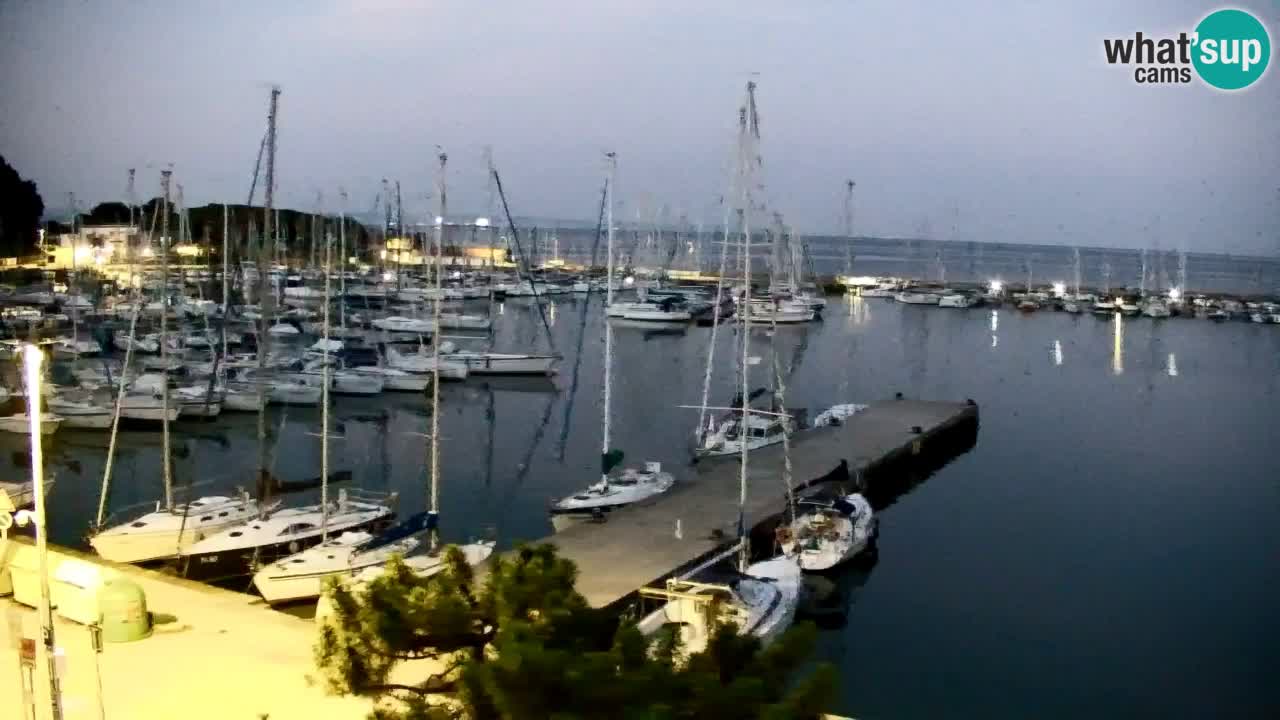 Webcam Baie de Sistiana – Vue en direct de la marina et de la baie