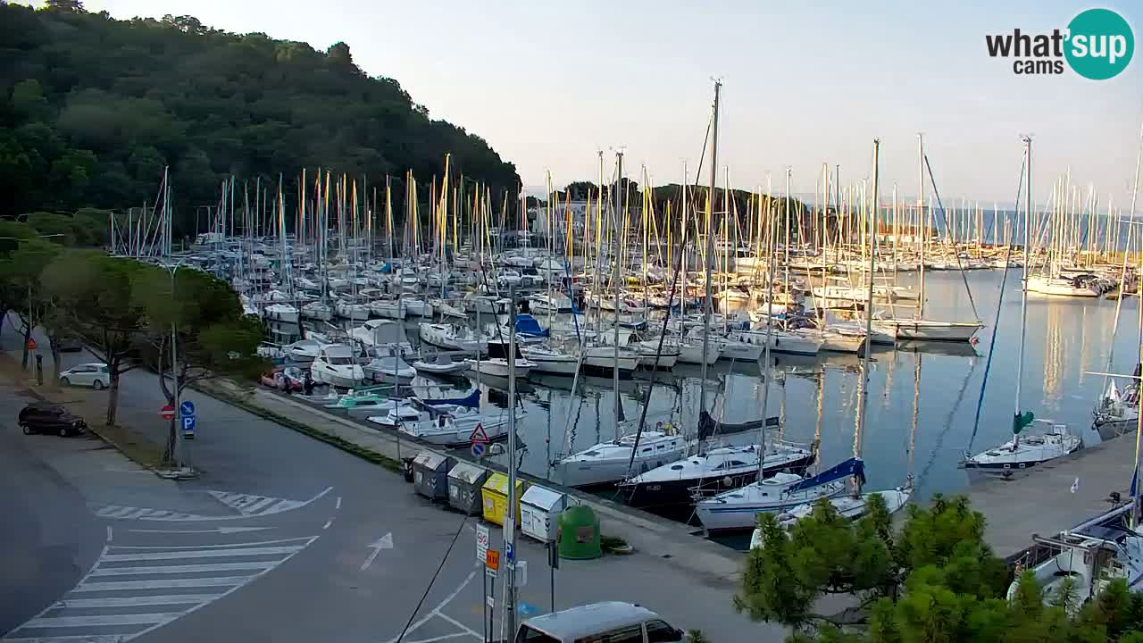 Webcam Bahía de Sistiana – Vista en directo del puerto deportivo y la costa