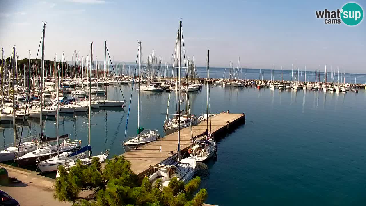 Webcam Sistiana Baia – Live View of the Marina and Gulf