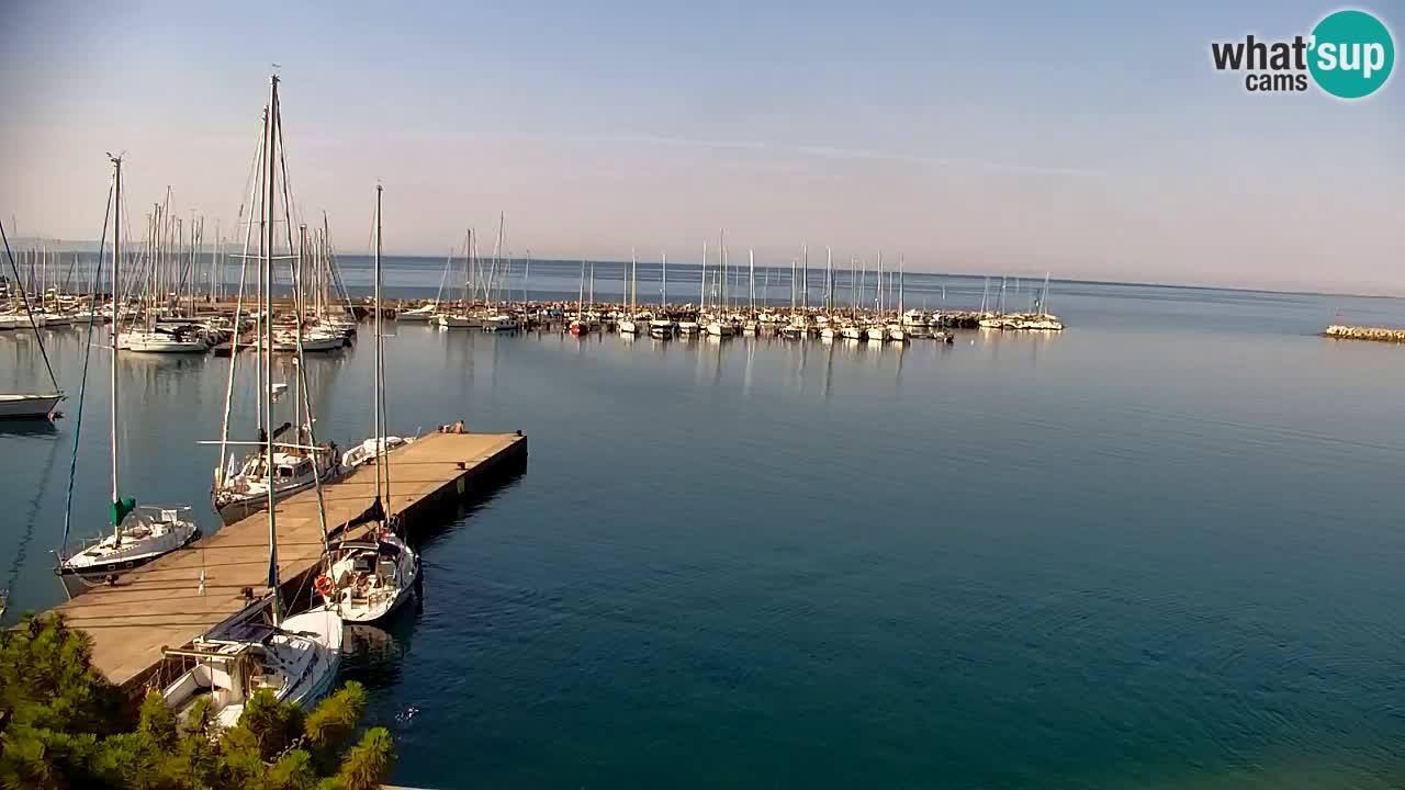 Webcam Bahía de Sistiana – Vista en directo del puerto deportivo y la costa