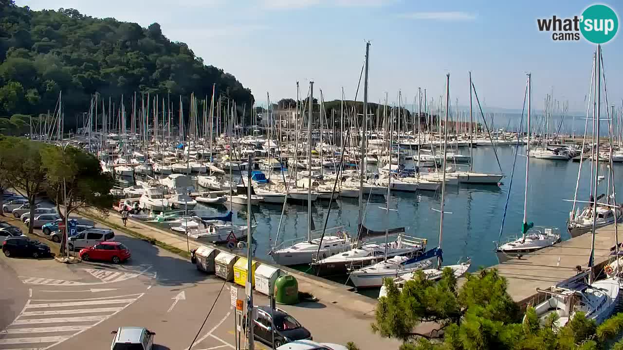 Webcam Sistiana Baia – Live View of the Marina and Gulf